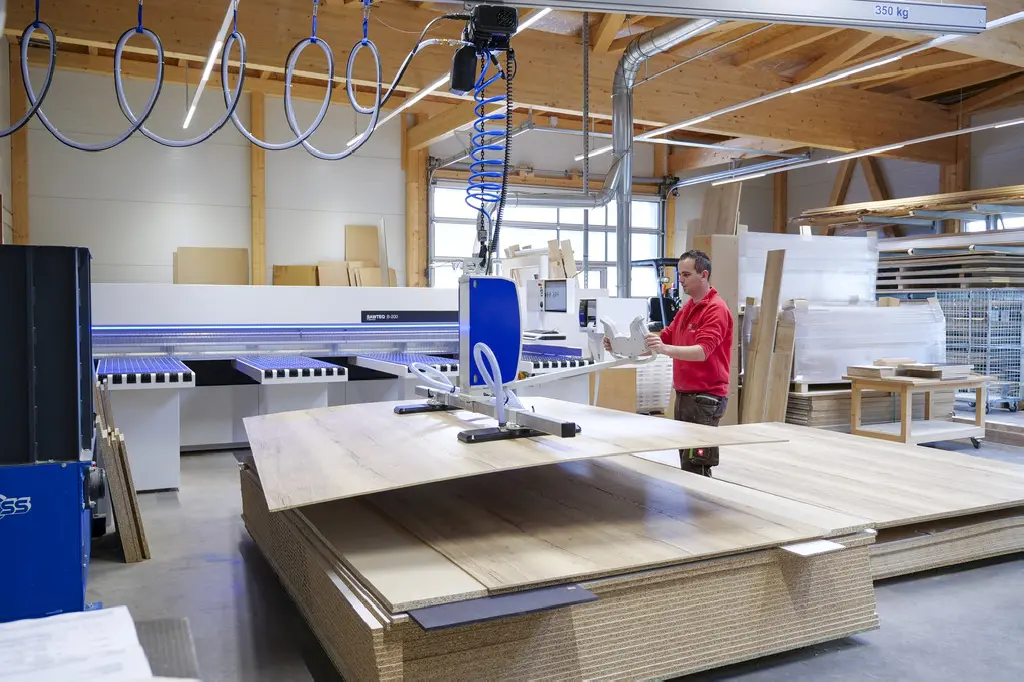 Vacuum lifter and crane form a coordinated material-handling system.